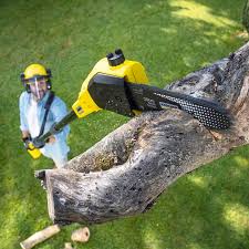 Best Utility Line Clearance  in Brooklyn, OH