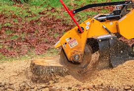 Best Tree Fertilization  in Brooklyn, OH