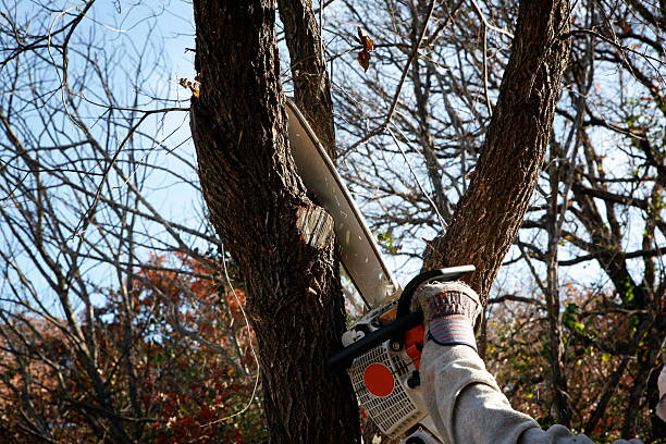 Landscape Design and Installation in Brooklyn, OH